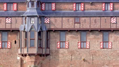 Kryptomarkt im Wandel: NEO gewinnt, Dogecoin vor Ausbruch