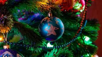 VanEck bringt mit JitoSOL ETFs neues Liquid-Staking-Modell