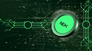 Nexchain: Eine vielversprechende Chance im Krypto-Markt