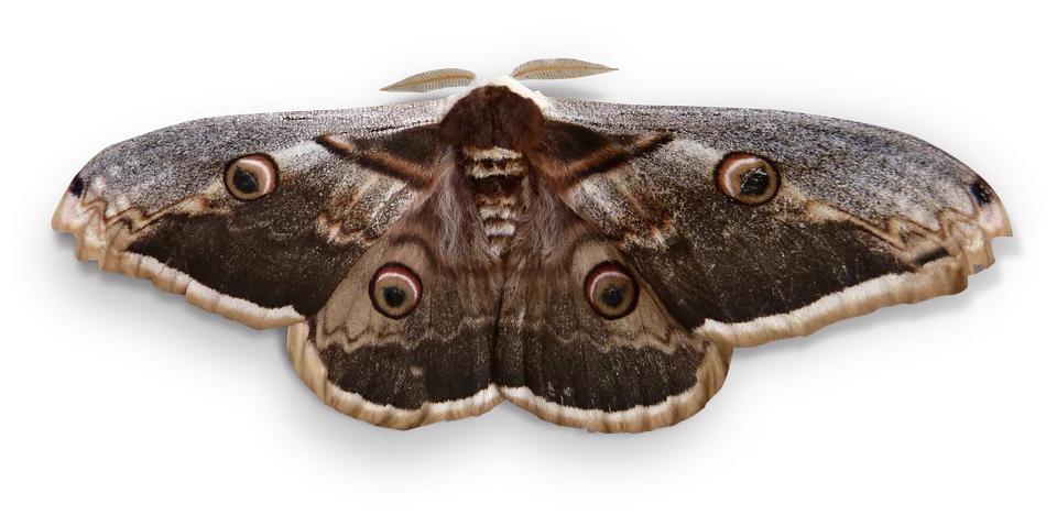 Der große Ethereum-Verkauf: Ein Krypto-Wal wechselt die Seiten