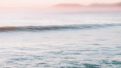 Ripple sorgt für Aufregung: 1 Mrd. XRP freigegeben und Kurs im Fokus
