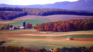 Pennsylvania könnte Krypto-Geschäfte für Politiker verbieten