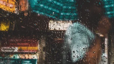 JitoSOL: Wie Liquid Staking die Finanzwelt verändert