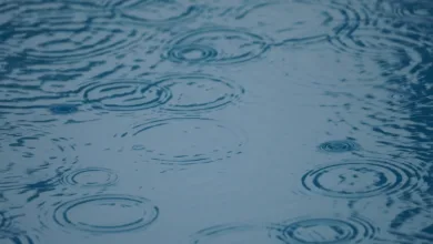 Ripple und die neue Crypto-Strategie für eine digitale Zukunft