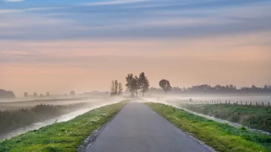 Pepeto: Frühzeitige Investoren könnten große Gewinne erzielen