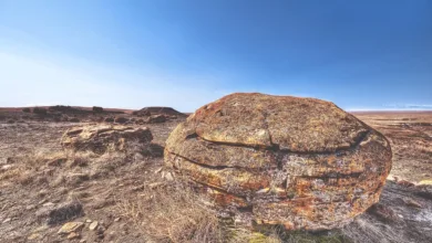 Massiver Bitcoin-Zufluss auf Binance: Vorboten einer Korrektur?