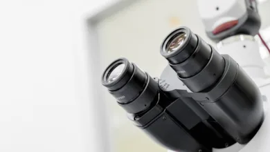 Krypto erleben: Bitget präsentiert den Crypto Experience Month 2025