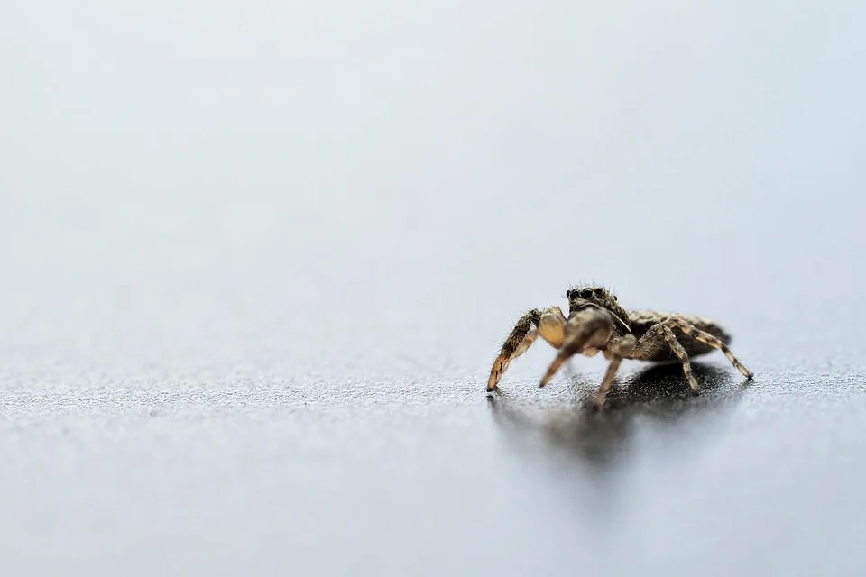 Bitcoin-Volatilität steigt: Marktbedingungen im Blick behalten