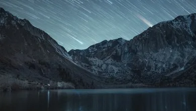 Die aufstrebenden Stars der Kryptowelt: Solana, XRP und MAGACOIN