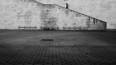 Bitcoin-Absturz: Wal transferiert Milliarden nach Ethereum