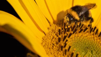 Krypto-Innovationen im Fokus: Die nächsten Marktführer entdecken