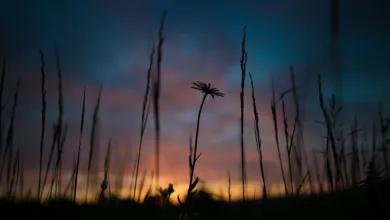 Kryptomarkt im Aufschwung: Bitcoin und BNB steigen kräftig