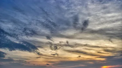 Die besten Crypto Casinos für August 2025 im Überblick