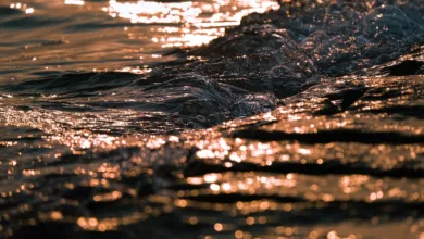 Ripple und XRP: Schlüsselstrategien für zukünftigen Erfolg