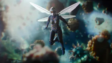 Quantum Bextra: Automatisierter Krypto-Handel für alle