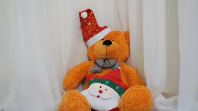 XRP erreicht neues Hoch: Bullische Stimmung treibt Kurs an