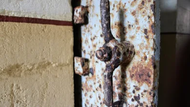 XRP-Rallye: Profitieren Sie vom grünen Mining-Trend