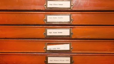 Bitcoin-Dominanz unter Druck: Steht die Altsaison bevor?