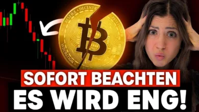 Marktanalyse: Bitcoin stabilisiert sich, MetaMask innoviert