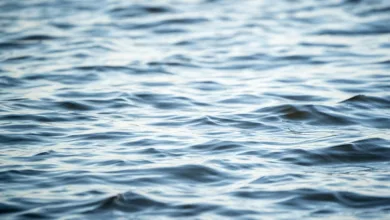 Ripple und Linklogis: Blockchain revolutioniert Finanzen in Asien