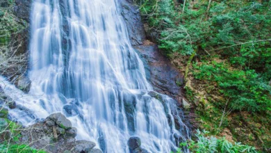 Bitcoin-Dominanz fällt auf 35 %: Vorbereitungen für die Altcoin-Saison