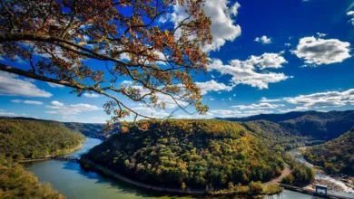 BlockDAG: Ein neuer Herausforderer im Krypto-Markt