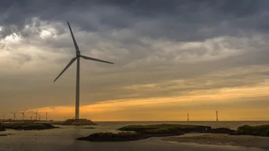 Cardano-Community genehmigt 70 Mio. USD für Entwicklung