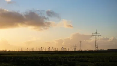 Nachhaltig leben: Wege zu einer besseren Zukunft im Alltag