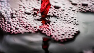 Liquid Staking: Unentdeckte Chancen für lokale Fintechs