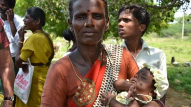 FOMO im Krypto-Markt: MAGACOIN FINANCE auf dem Vormarsch