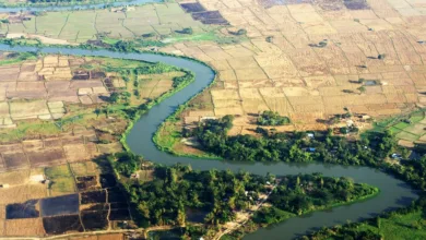 Die aktuellen Top 4 Kryptowährungen für 2025: Investitionen im Blick