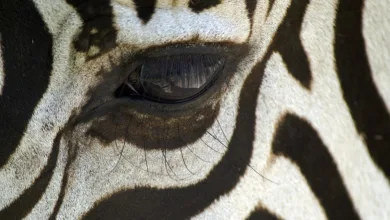 Kryptowährungen im Fokus: So erkennst du echte Chancen