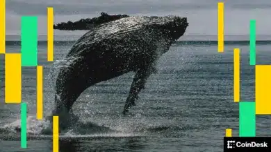 Krypto-Markt im Rückgang: Bitcoin kämpft um Stabilität