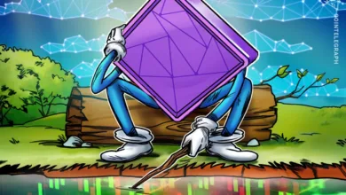 Rückgang bei NFT-Verkäufen: Ein Blick auf die aktuelle Marktentwicklung