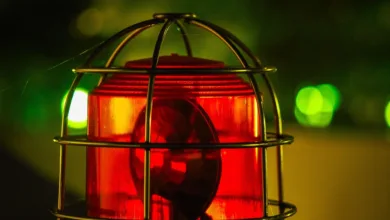 Alarmierende Zunahme von Krypto-Phishing im August 2025