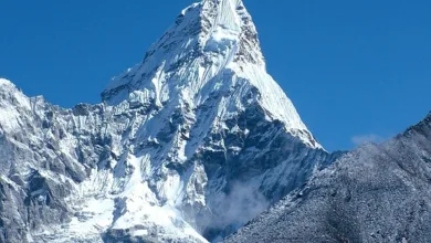 Krypto-Trend im Blick: Welche Faktoren Investoren beeinflussen