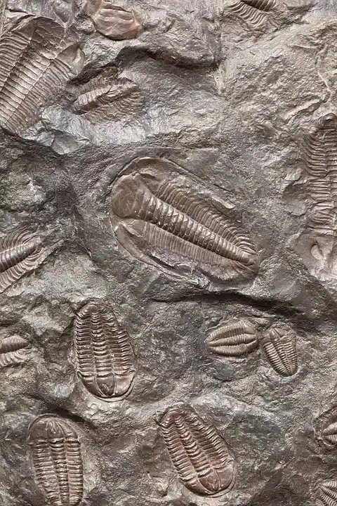 Die Evolution der ETF-Anlagen: Chancen für DAOs und KMUs