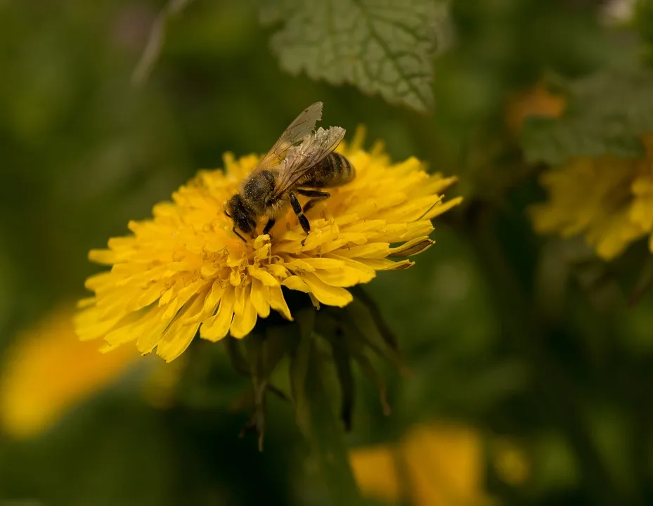 US-Wirtschaft wächst unerwartet, Märkte zeigen sich skeptisch