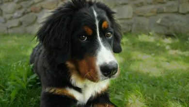 Die besten Krypto-Casinos 2025: Anonym und gewinnbringend