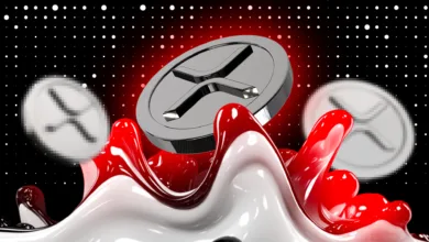 XRP-Sammelwelle: Rekordniveau und Kursprognosen für Investoren