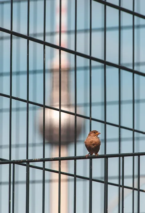 Zukunft der Krypto-Märkte: DEXes und ETFs 2025 im Fokus