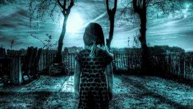 Vorausschau auf das Krypto-Quartal: Steigende Chancen oder Rückschläge?