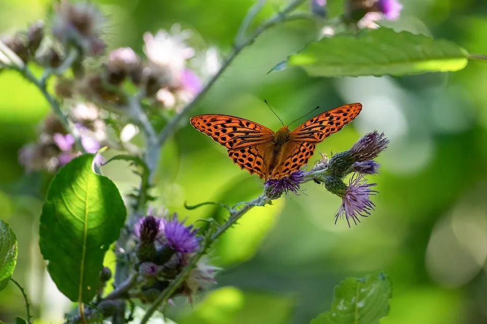 Mantle übertrifft Allzeithoch: Bybit-Partnerschaft im Fokus