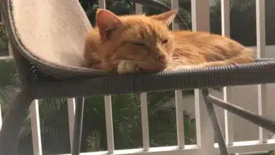 Sui-Krypto legt zu: Kursentwicklung sorgt für Hoffnung