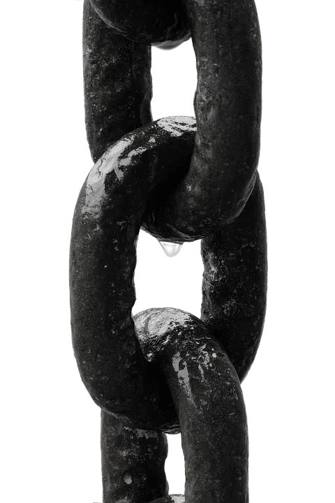 Franklin Templeton erweitert Benji-Plattform auf BNB Chain