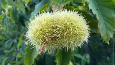 Die besten Krypto-Casinos in Deutschland: September 2025 im Blick