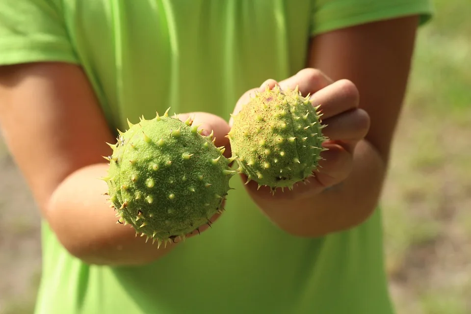 Bitcoin im September: Wird der Aufschwung Realität?