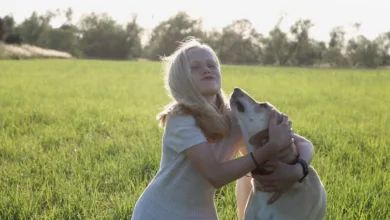 Die besten Crypto Casinos 2025 für lokale Spieler entdecken