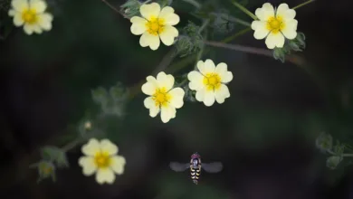 Coinbase plant Krypto-Super-App als Bankalternative für alle