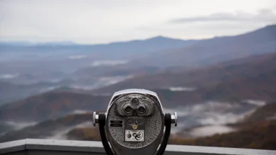 Sui Coin im Fokus: Aktuelle Marktanalysen und Prognosen